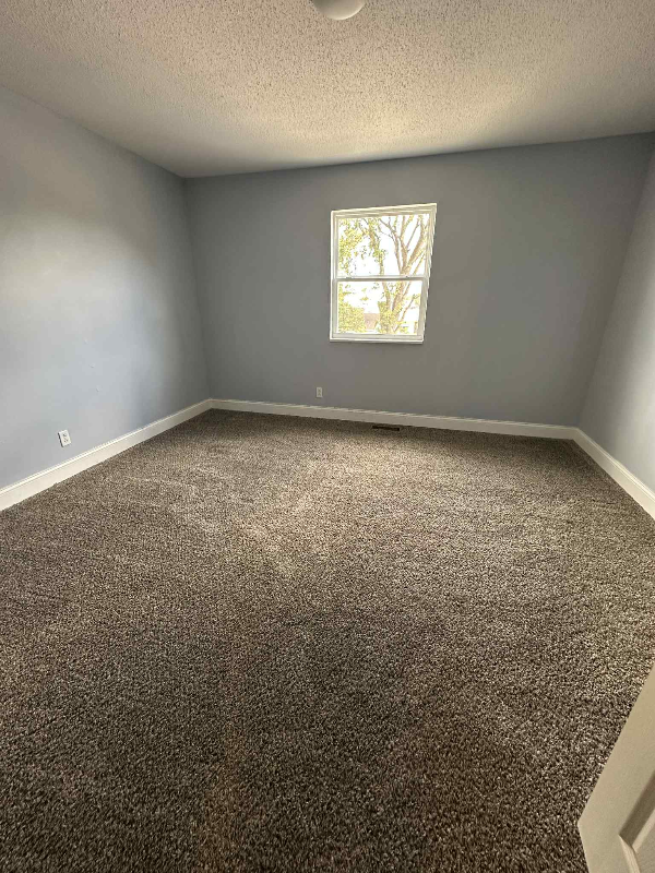820 Tanner St - Photo 4 of 19