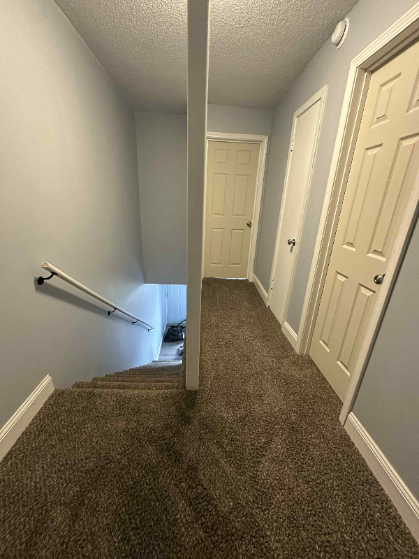 820 Tanner St - Photo 7 of 19
