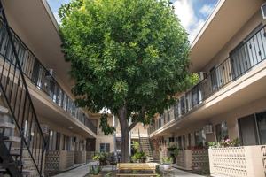 featured image of 445 E Verdugo Ave