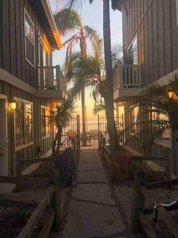 6599 Del Playa Dr - Photo 5 of 22