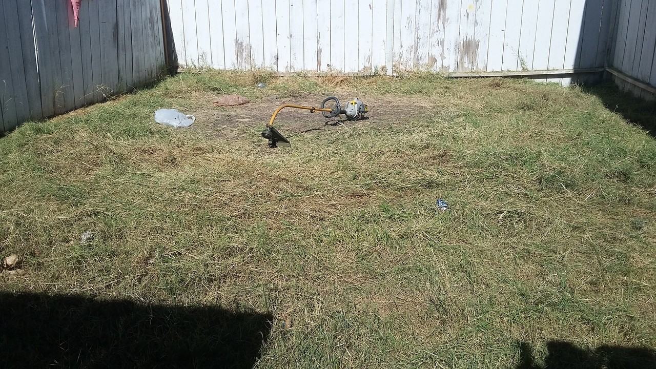 615 Tyler St - Photo 4 of 20