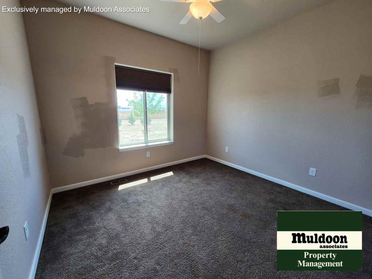 326 E Longmont Dr - Photo 7 of 19