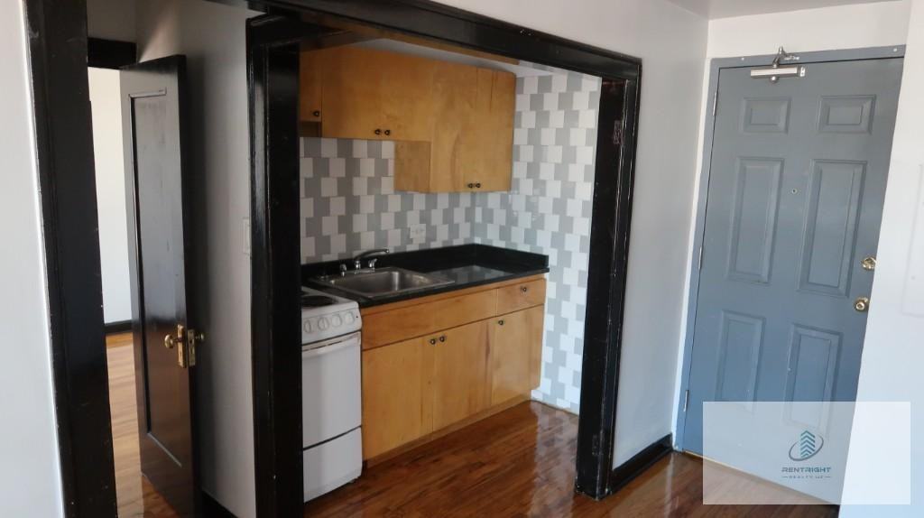 846 W Montrose Ave #407 - Photo 3 of 12