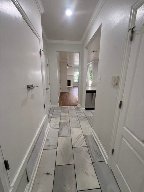 4125 Holland Ave #203 - Photo 7 of 20