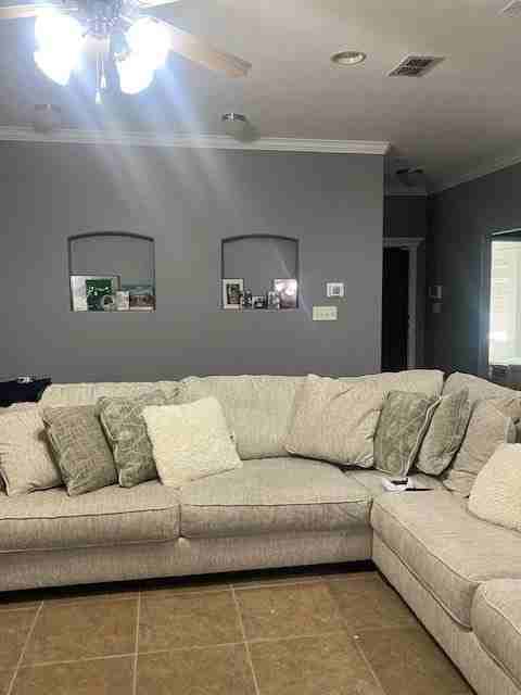 258 Cotton Candy Rd - Photo 3 of 20