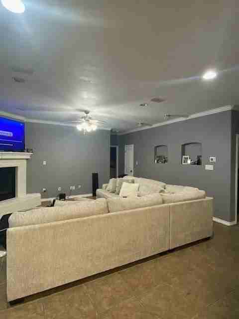 258 Cotton Candy Rd - Photo 4 of 20