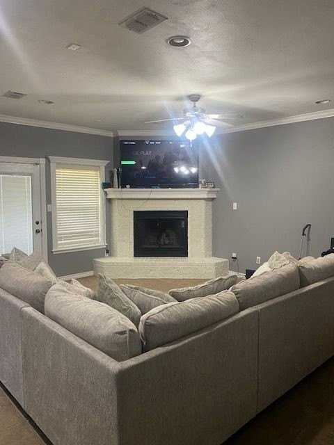 258 Cotton Candy Rd - Photo 5 of 20