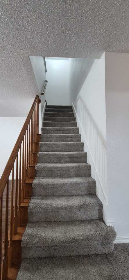 3205 Cantura Dr - Photo 6 of 24