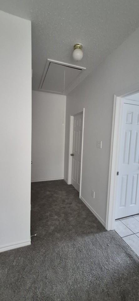 3205 Cantura Dr - Photo 7 of 24