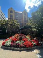 featured image of 42 Barker Ave #1H