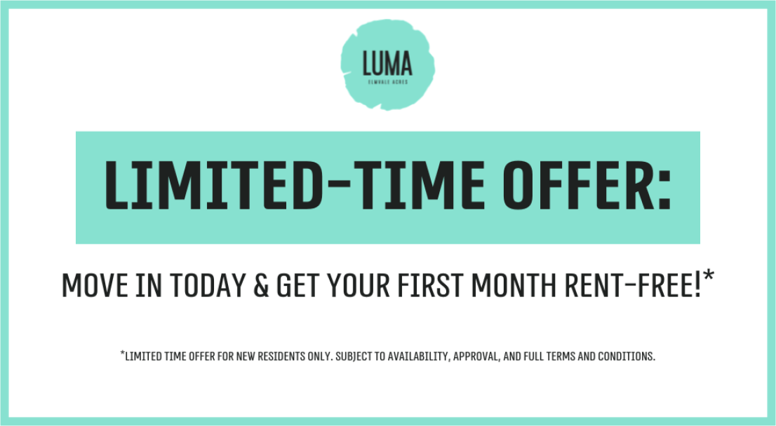Luma - Photo 2 of 34