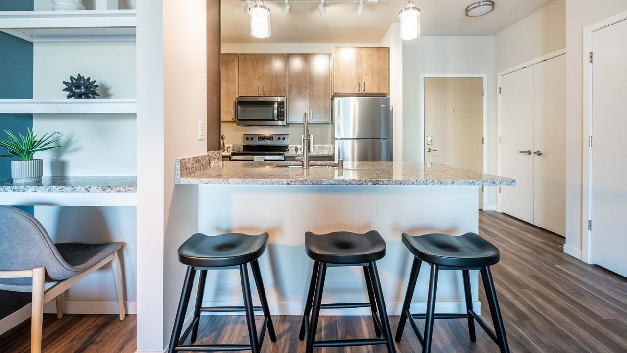 10120 Abrazo Dr - Photo 3 of 50