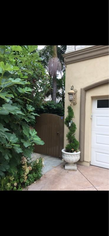 437 Avenida Arlena - Photo 5 of 18