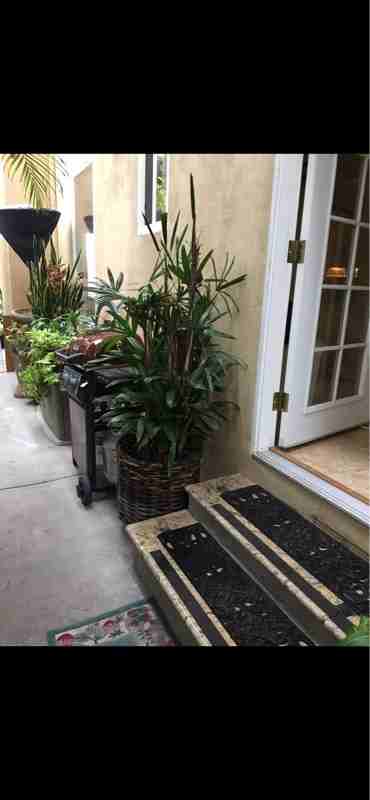 437 Avenida Arlena - Photo 7 of 18