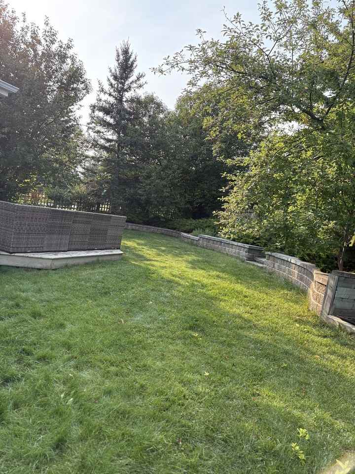 159 Sierra Nevada Close Sw - Photo 6 of 17