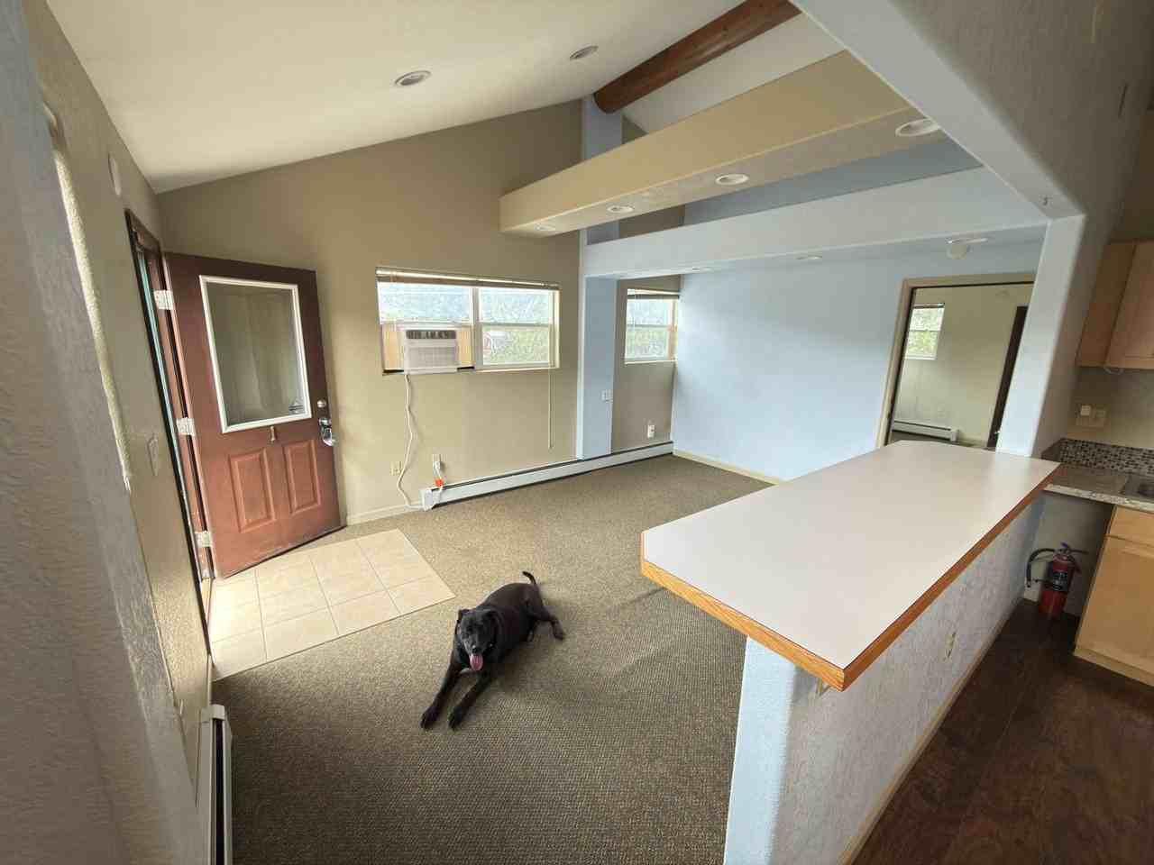 3440 Myers Gulch Rd #1 - Photo 5 of 11