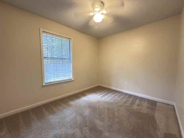 303 Springwood Cir #288 - Photo 6 of 18