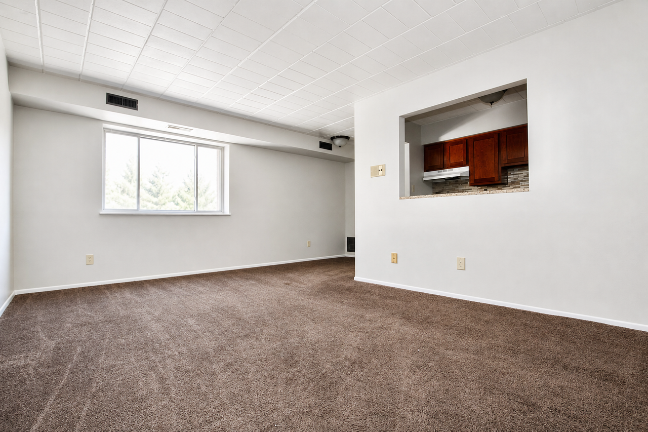 1954 AMATO DRIVEAPT 25 #25 - Photo 3 of 7