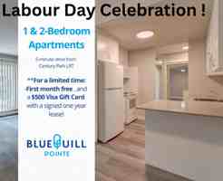 featured image of 11615 28 Ave Nw