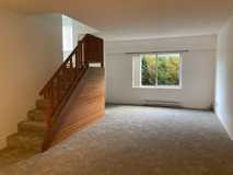 3563 Oak Street - Photo 1 of 1