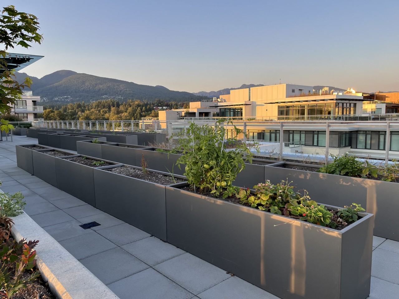 785 Aire West - Photo 4 of 29
