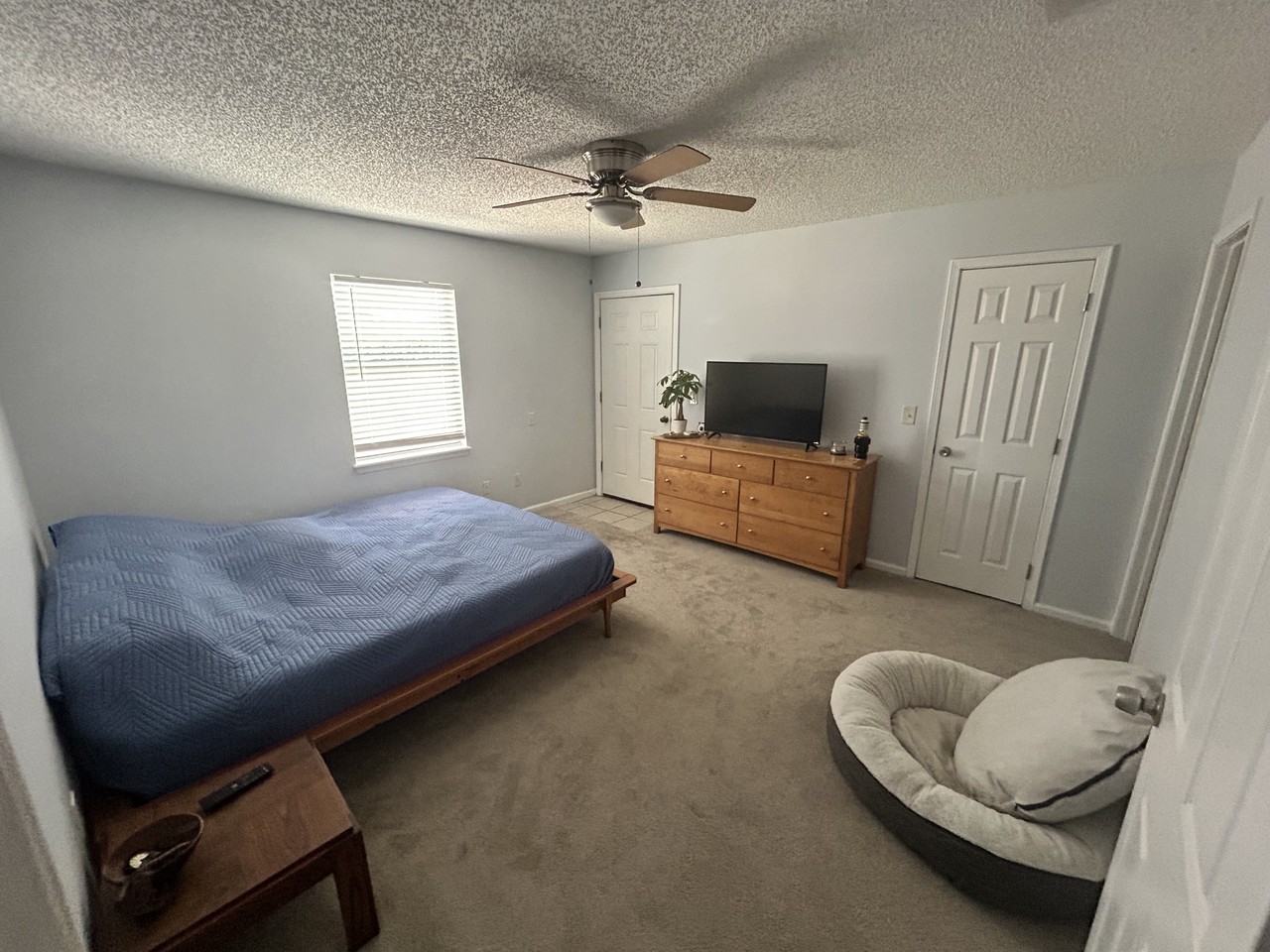 1121 Hibiscus St #1121 - Photo 2 of 8