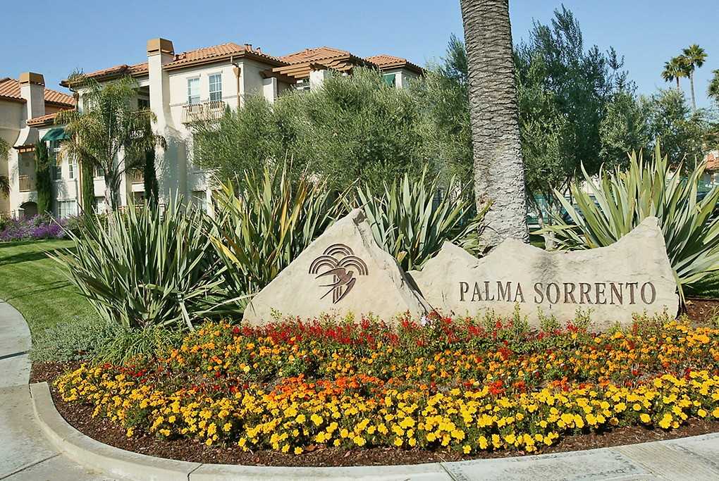 Palma Sorrento at Palm Valley - Photo 6 of 70