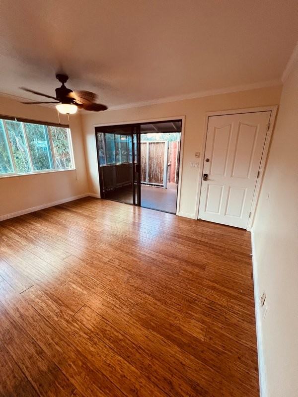 293 Alaume St - Photo 7 of 19
