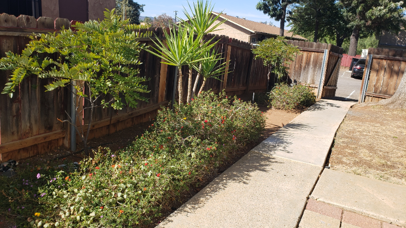 12608 Julian Ave - Photo 2 of 34