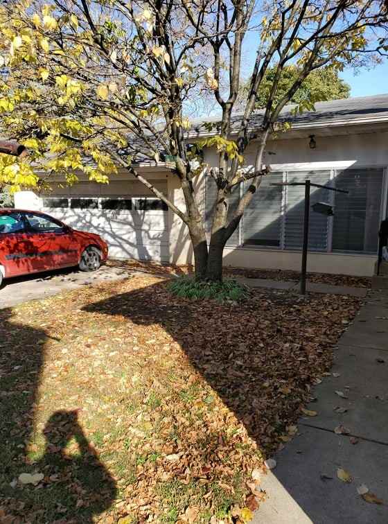 321 14th St Ne #321 - Photo 2 of 20