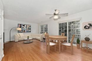 19 Cottonwood St - Photo 1 of 1