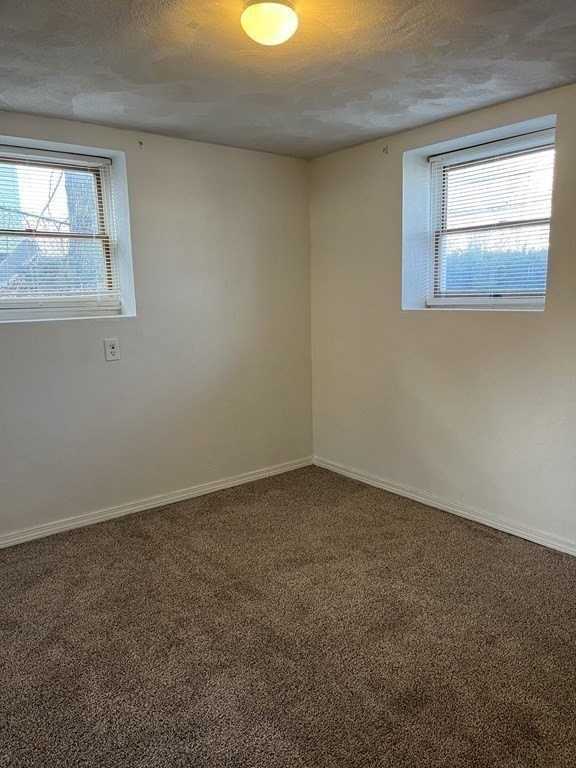 151 Bigelow St #1 - Photo 6 of 8