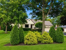 featured image of 103 Cottonwood Rd
