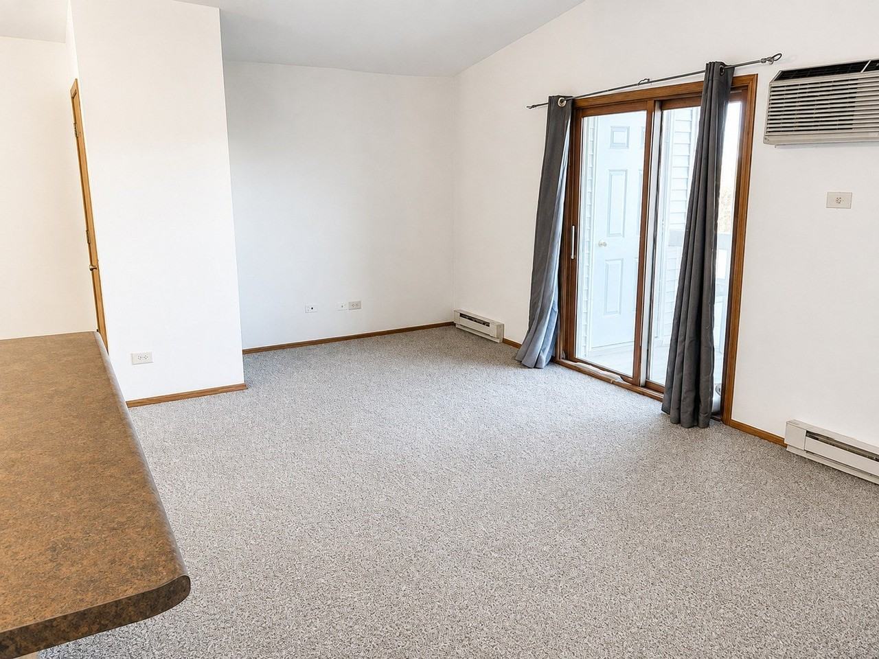 1343 Cunat Ct #3F - Photo 6 of 11