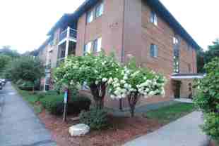 15 Blackstone Dr #1518 - Photo 1 of 1
