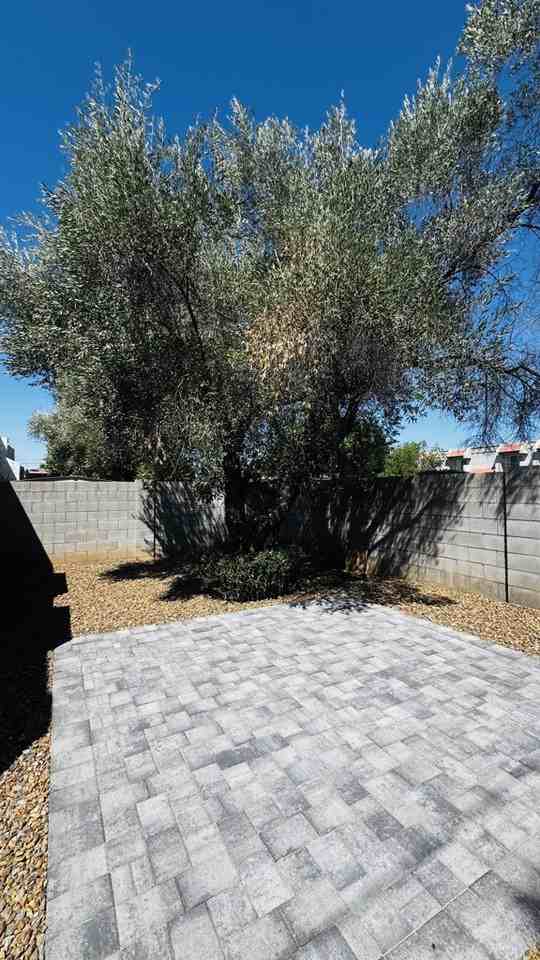 4019 E Desert Cactus St #B - Photo 7 of 18