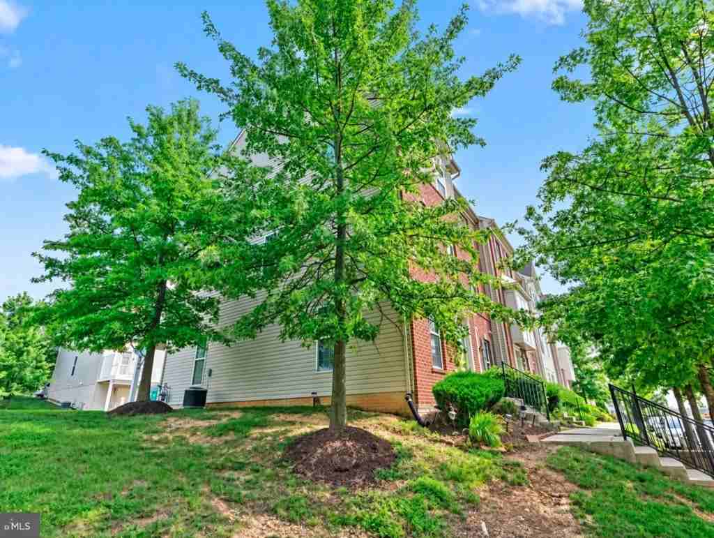 7233 Abbey Rd - Photo 3 of 19