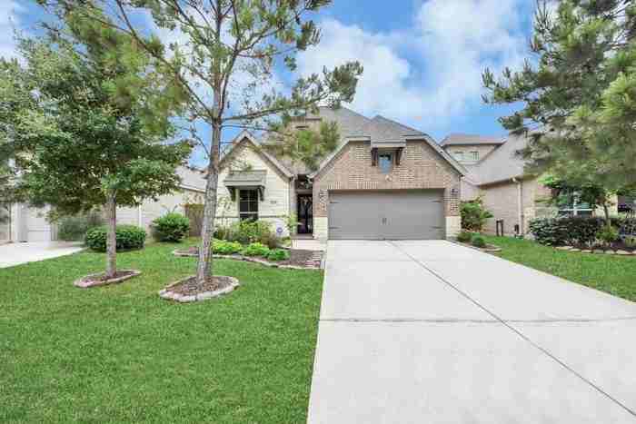 16307 Pintado Forest Rd - Photo 3 of 20