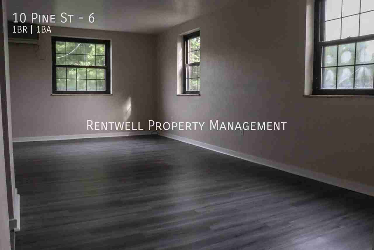 10 Pine St #6 - Photo 6 of 16