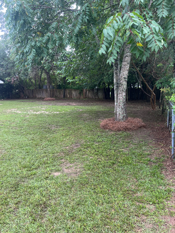 1805 Gilbert Dr - Photo 4 of 18
