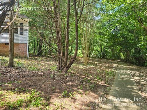 800 Windsong Dr - Photo 4 of 17