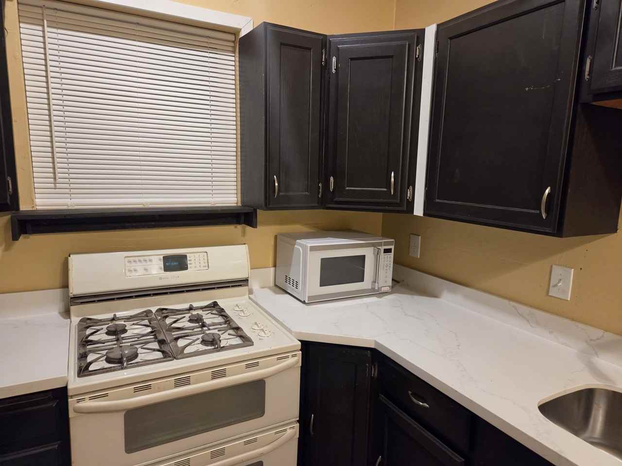 1610 W Bora Bora Dr #1 - Photo 5 of 16