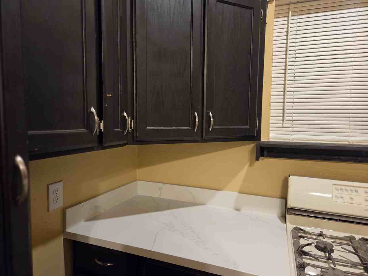 1610 W Bora Bora Dr #1 - Photo 6 of 16