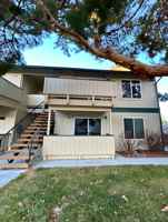 featured image of 3942 Clear Acre Ln #241