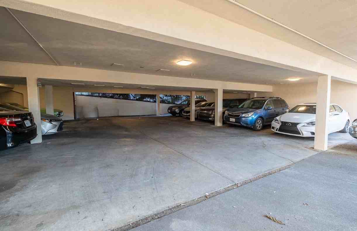 1700 Spruce St #6 - Photo 2 of 18