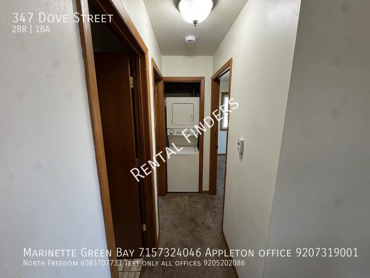 347 Dove St - Photo 6 of 7