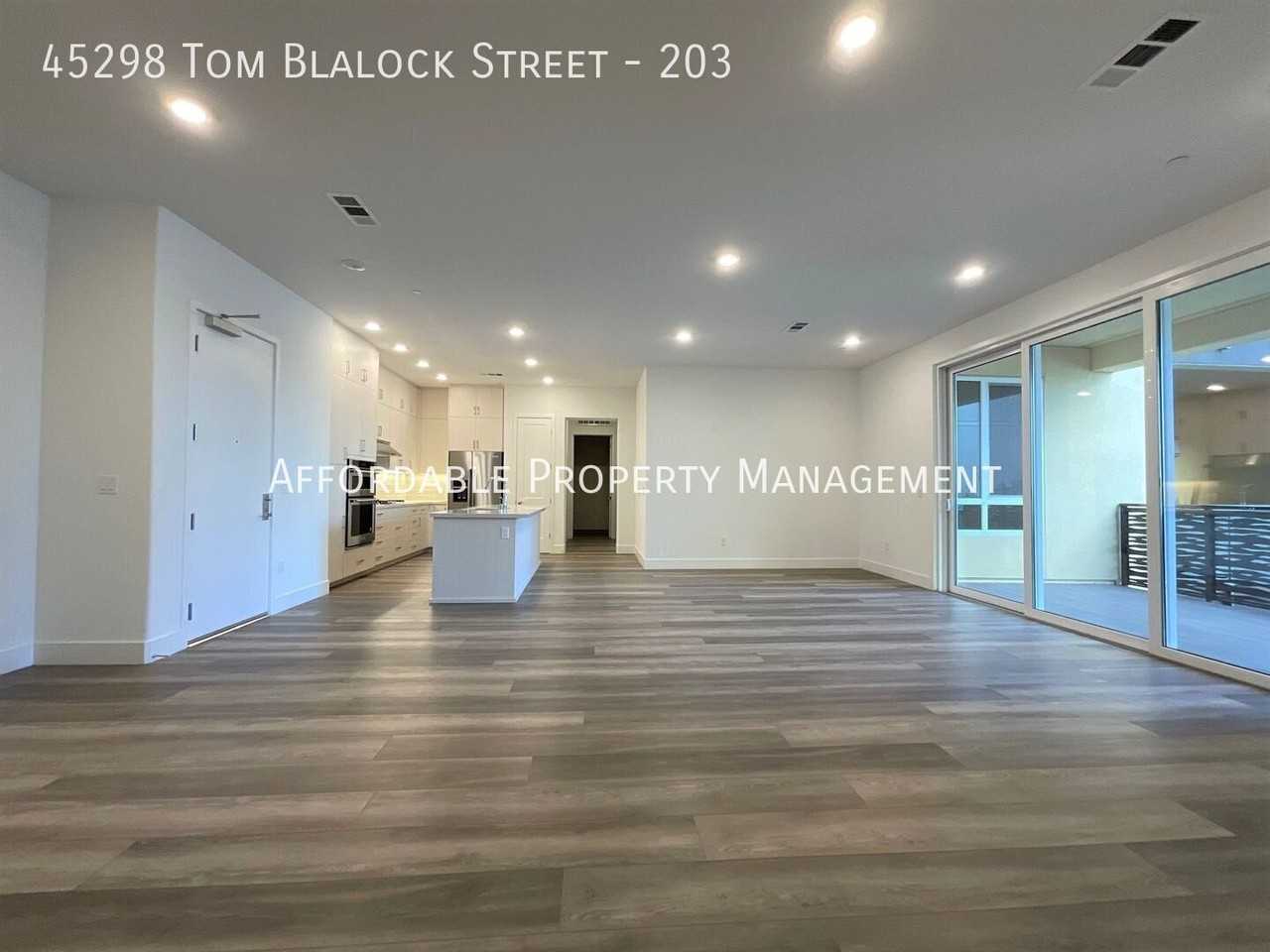 45298 Tom Blalock St #203 - Photo 4 of 13