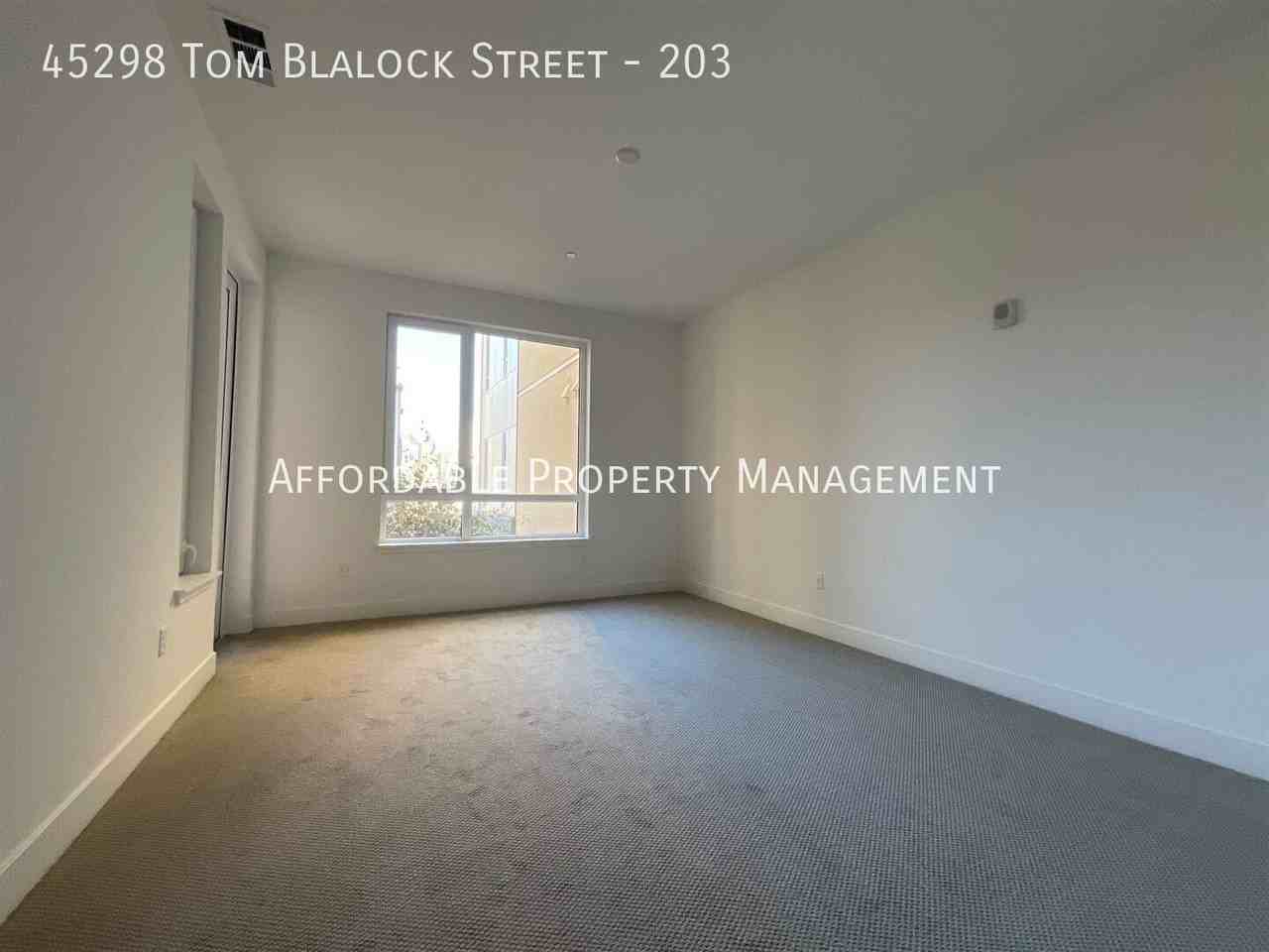 45298 Tom Blalock St #203 - Photo 7 of 13