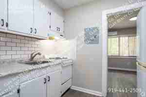 featured image of 206 S Elm St #M