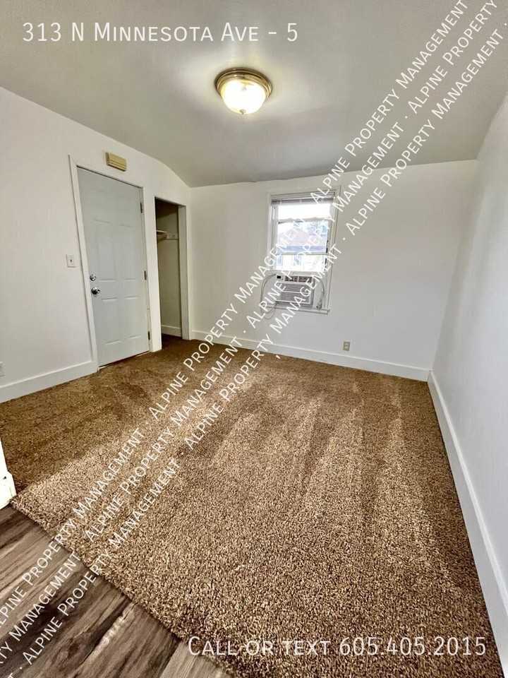 313 N Minnesota Ave #5 - Photo 3 of 20